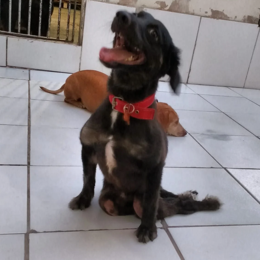 Resgate em andamento
